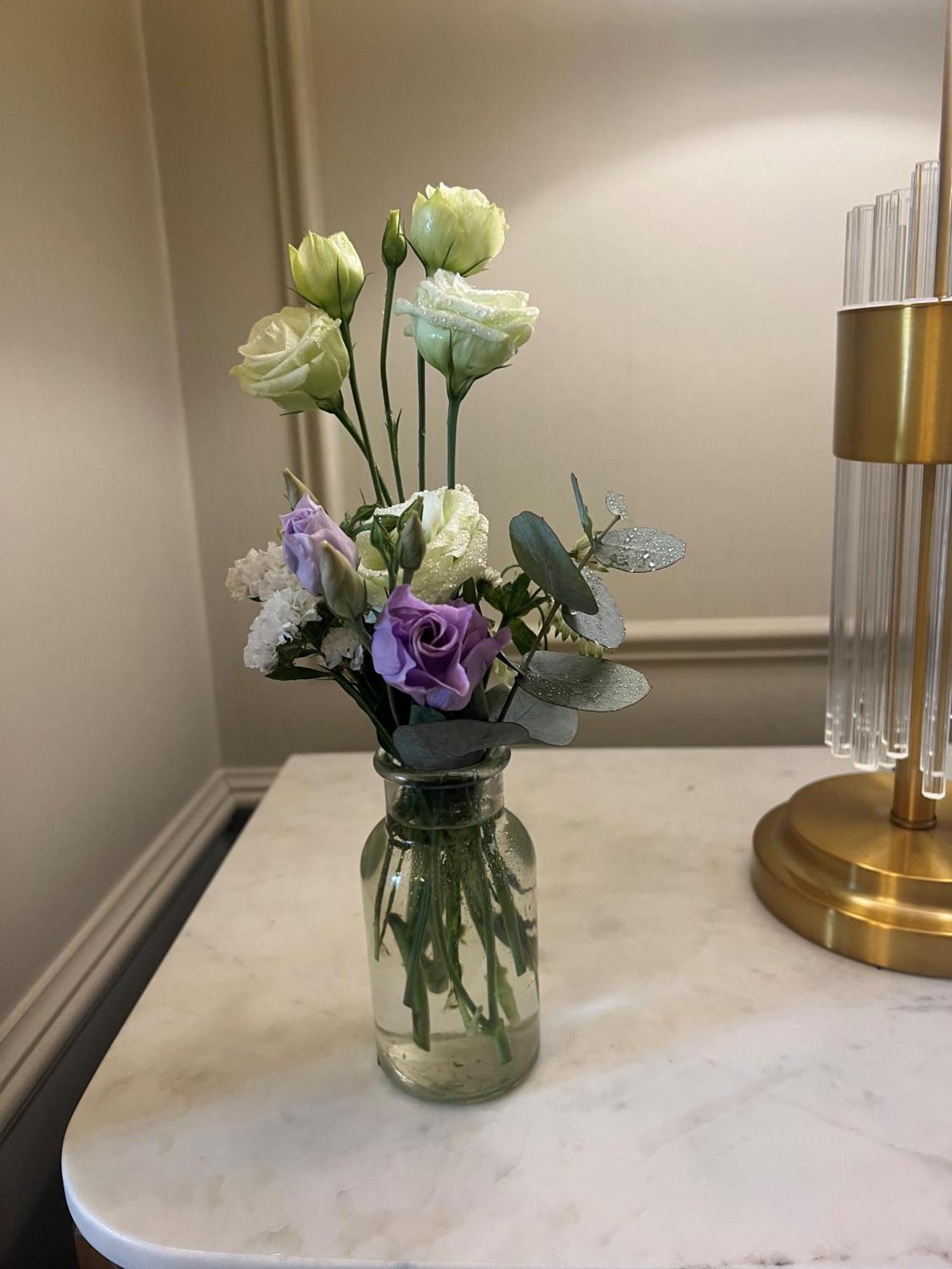 Waterloo Town House & Suites Dublin Eksteriør billede